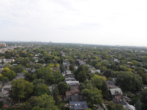 1 Bedroom apartment for rent in TORONTO    