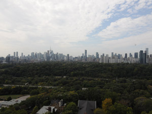 1 Bedroom apartment for rent in TORONTO  