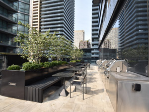 1 Bedroom apartment for rent in TORONTO       