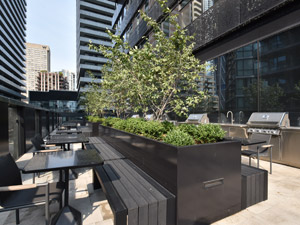 1 Bedroom apartment for rent in TORONTO       