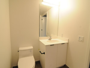 1 Bedroom apartment for rent in TORONTO     