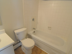 1 Bedroom apartment for rent in TORONTO     