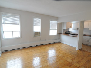 1 Bedroom apartment for rent in TORONTO     