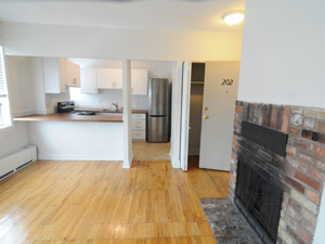1 Bedroom apartment for rent in TORONTO     