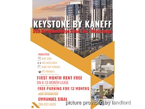 Image ViT 239673