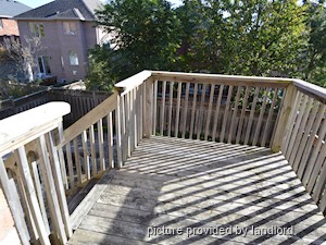 3+ Bedroom apartment for rent in Richmond Hill