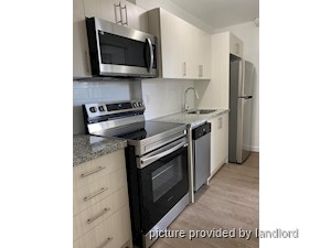 Image ViT 239852