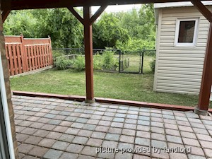 Image ViT 239968