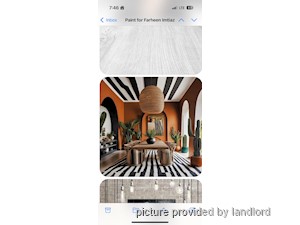 Image ViT 239969