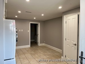 Image ViT 239983