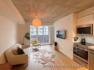 Image ViT 240145