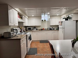 Image ViT 240160
