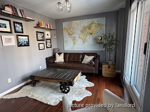 Image ViT 240161