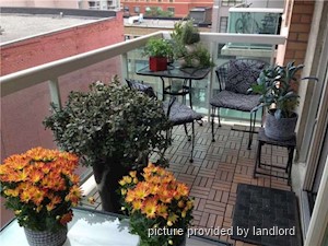Image ViT 240202