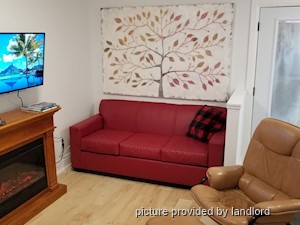 Image ViT 240211