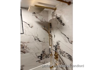 Image ViT 240228