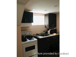 Image ViT 240372