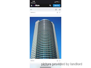 Image ViT 240402
