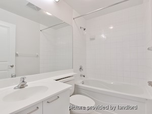 Image ViT 240447