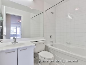 Image ViT 240458