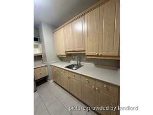 Image ViT 240580