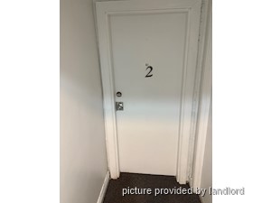 Image ViT 240615