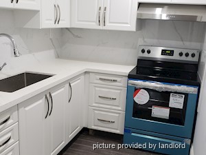 Image ViT 240645