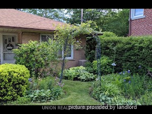 Image ViT 240646
