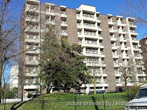 Image ViT 240653