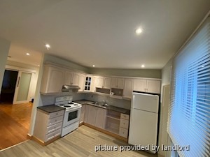 Image ViT 240654