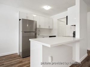 Image ViT 240657