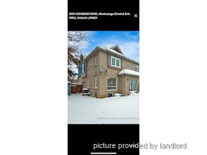 Image ViT 240666