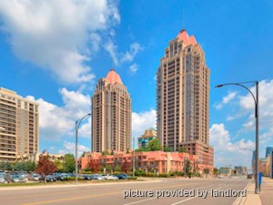 Image ViT 240668