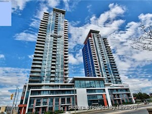 Image ViT 240684