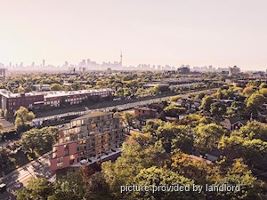 Image ViT 240685