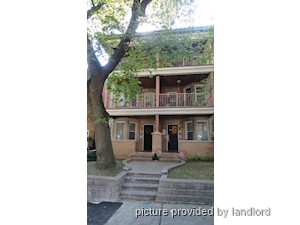Image ViT 240689