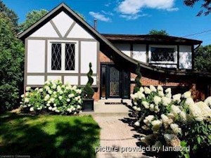 3+ Bedroom apartment for rent in HAMILTON
