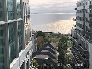 Image ViT 240719