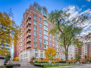 Image ViT 240724