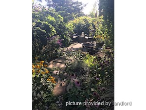 Image ViT 240737