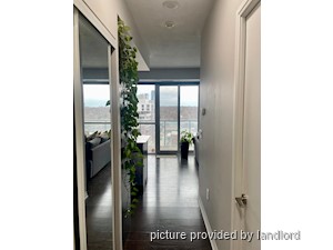 Image ViT 240740