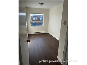 Image ViT 240742