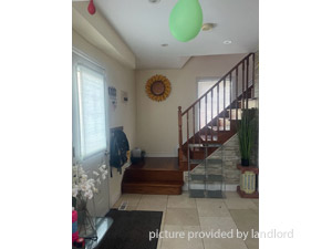 Image ViT 240773