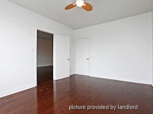 Image ViT 240774