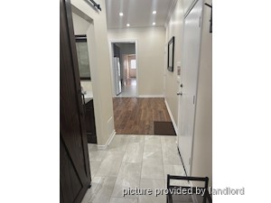 Image ViT 240776