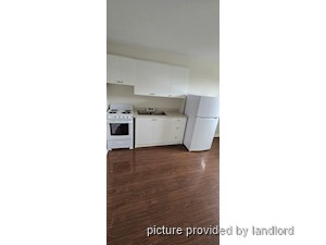 Image ViT 240779