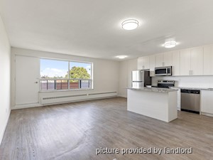 Image ViT 240782