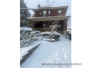 Image ViT 240784