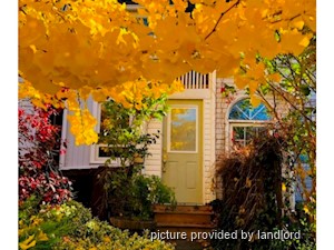 Image ViT 240787
