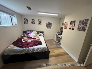 Image ViT 240806